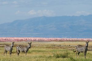 lake-manyara